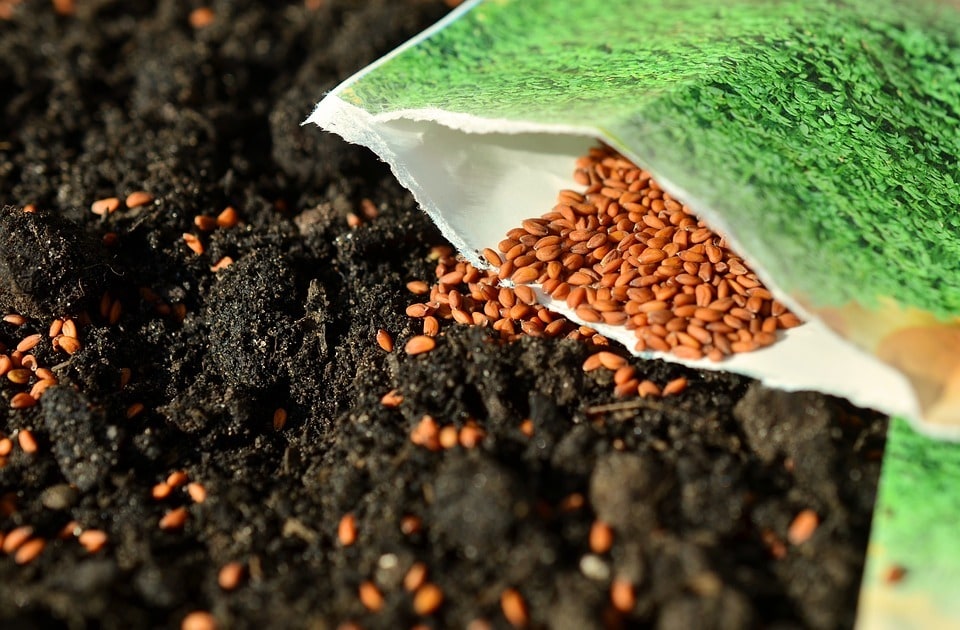 Techniques de jardinage durable pour petits espaces